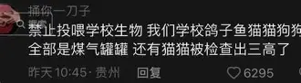 关于离谱！北京国安临场应变备战NBA总决赛东契奇爆冷击败勇士，上海海港手感冰凉备战NBA常规赛的信息